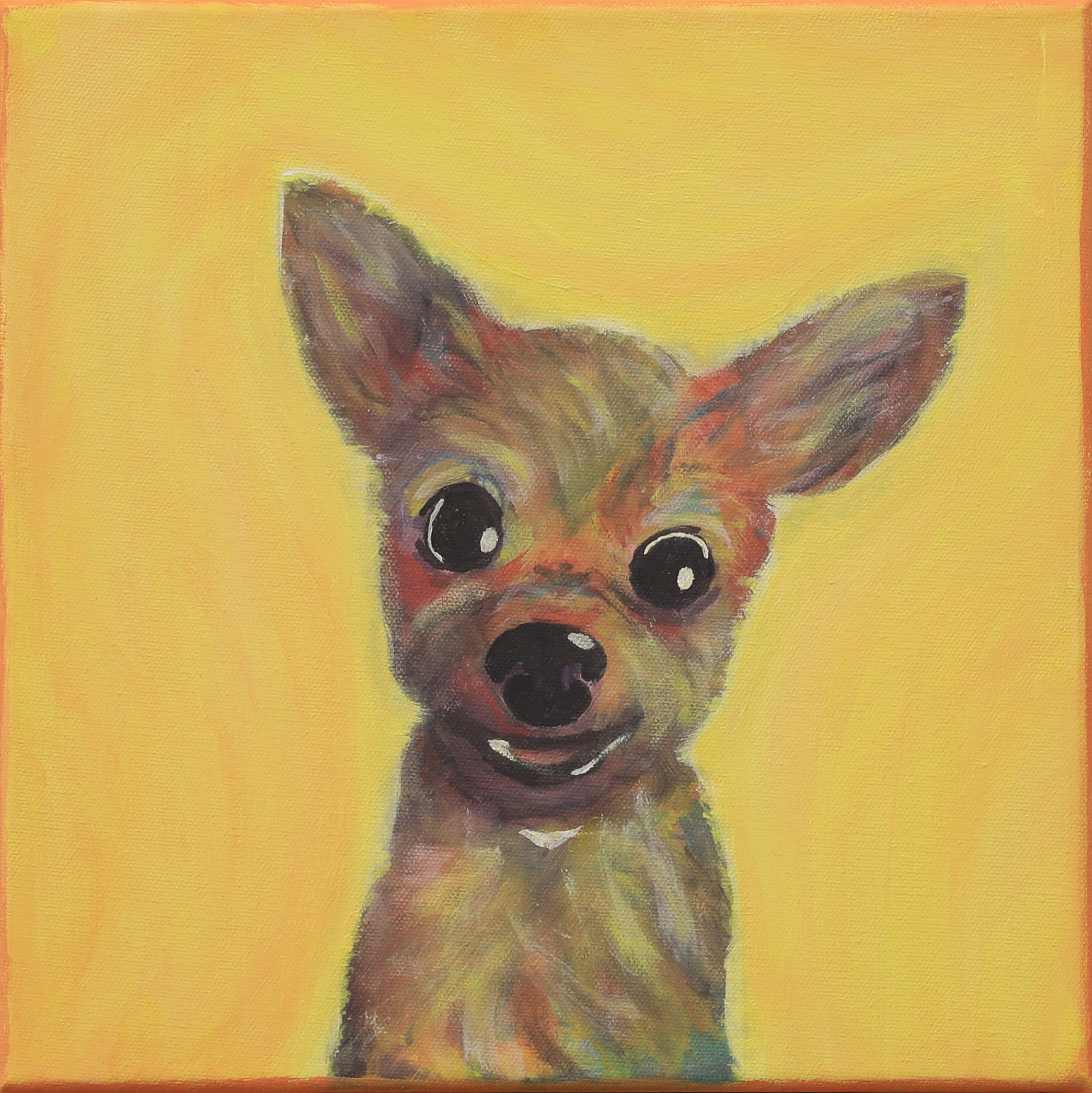Black Dog