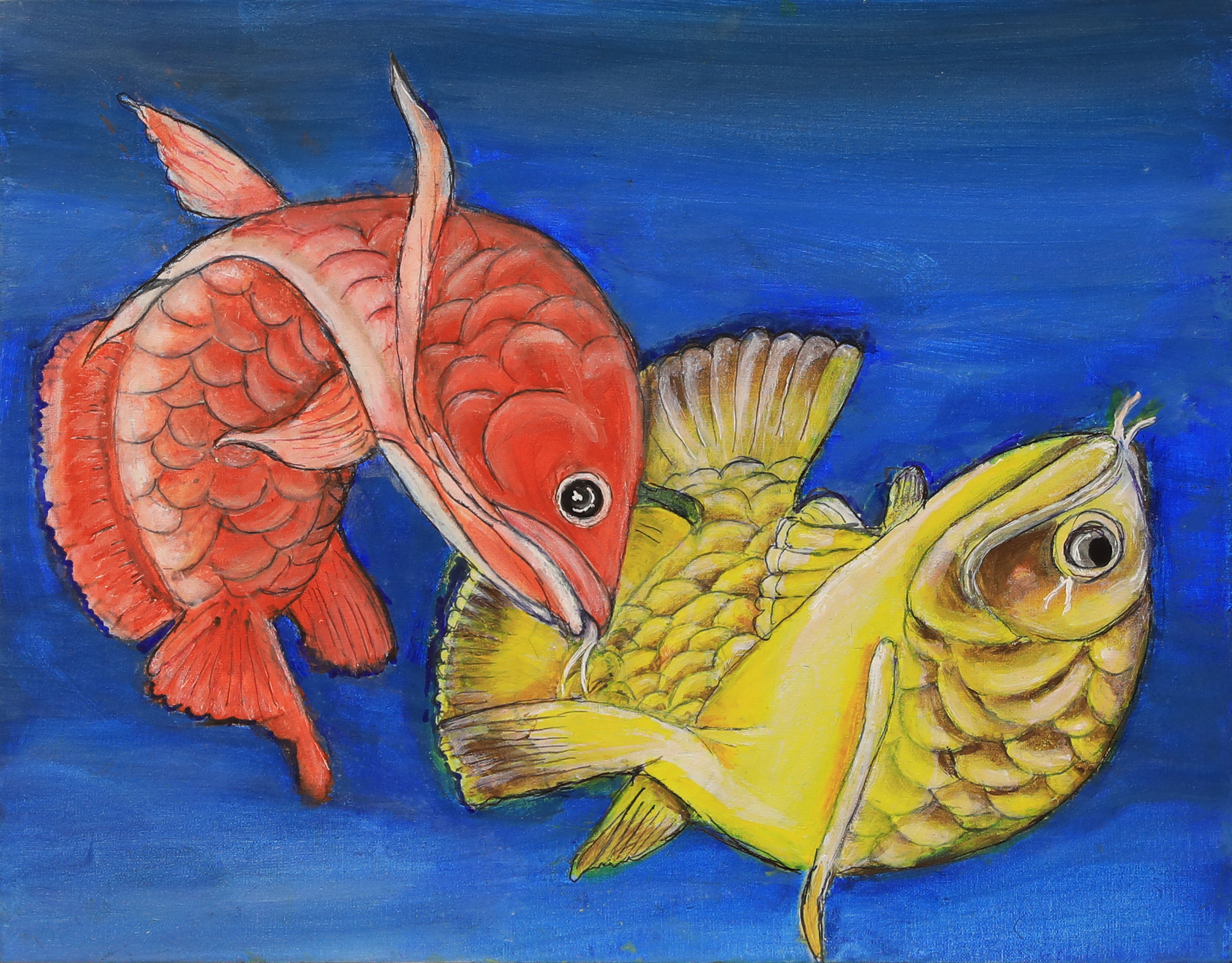 Dance of the Koi