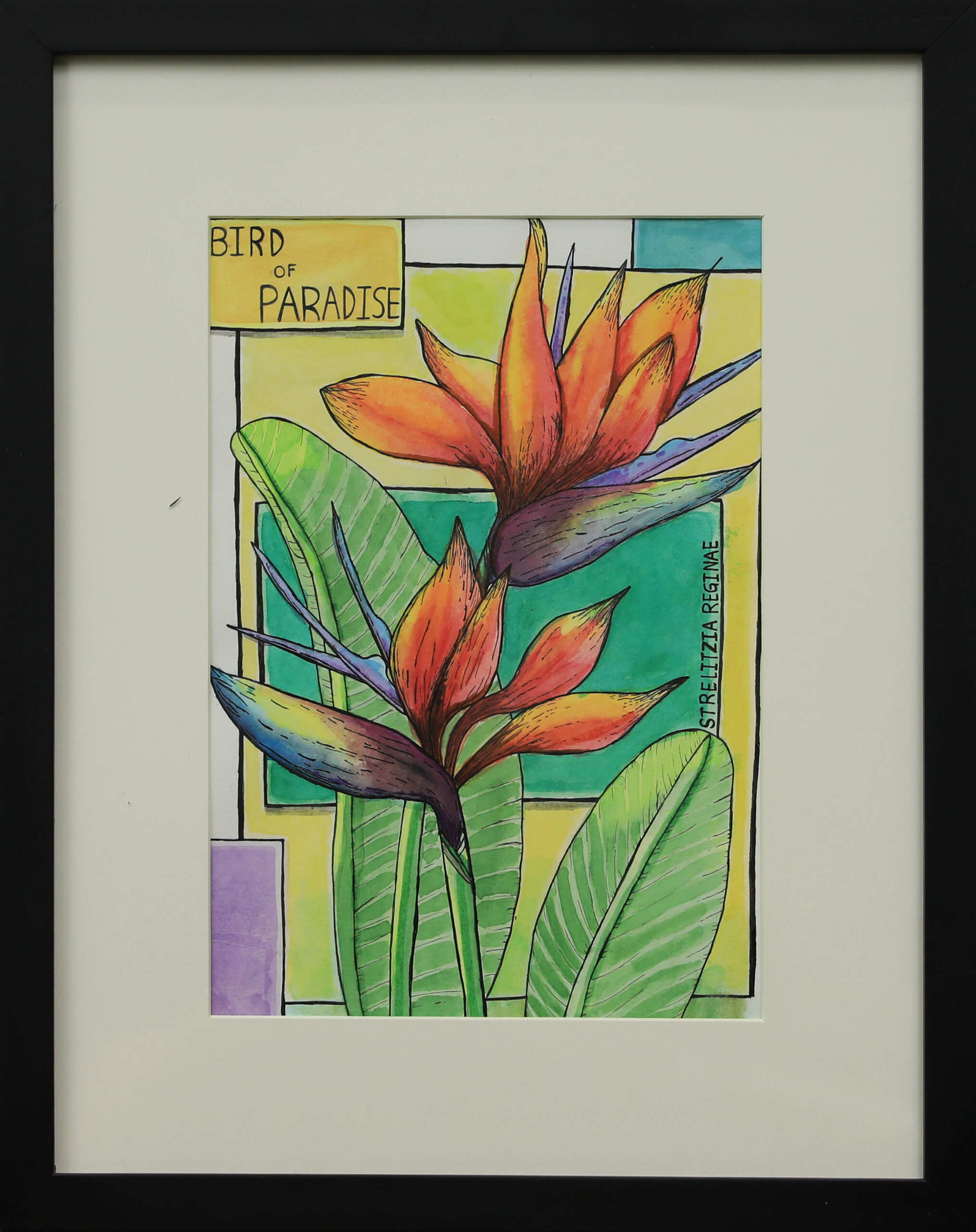 Flora of the Tropics: Bird of Paradise