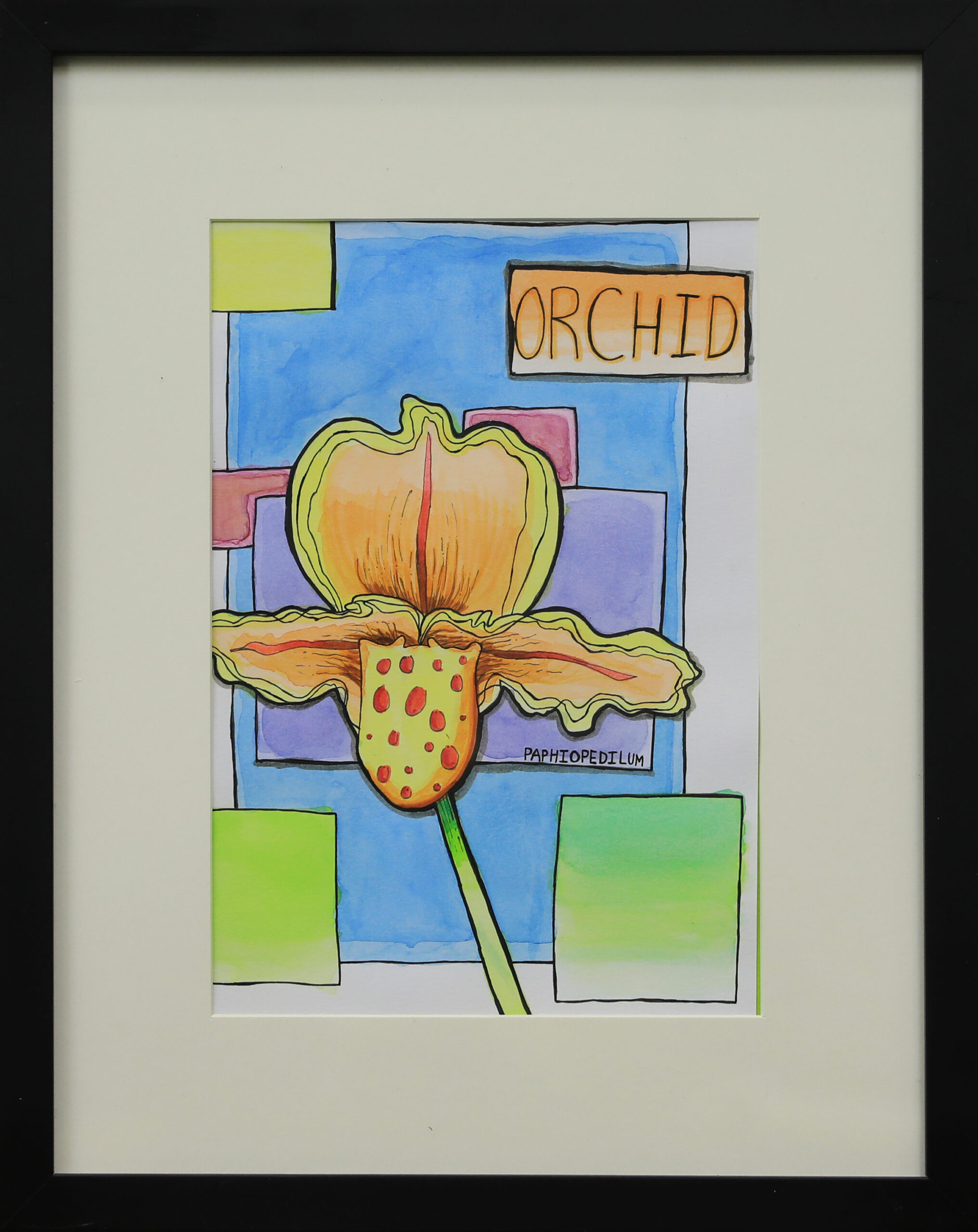 Flora of the Tropics: Orchid