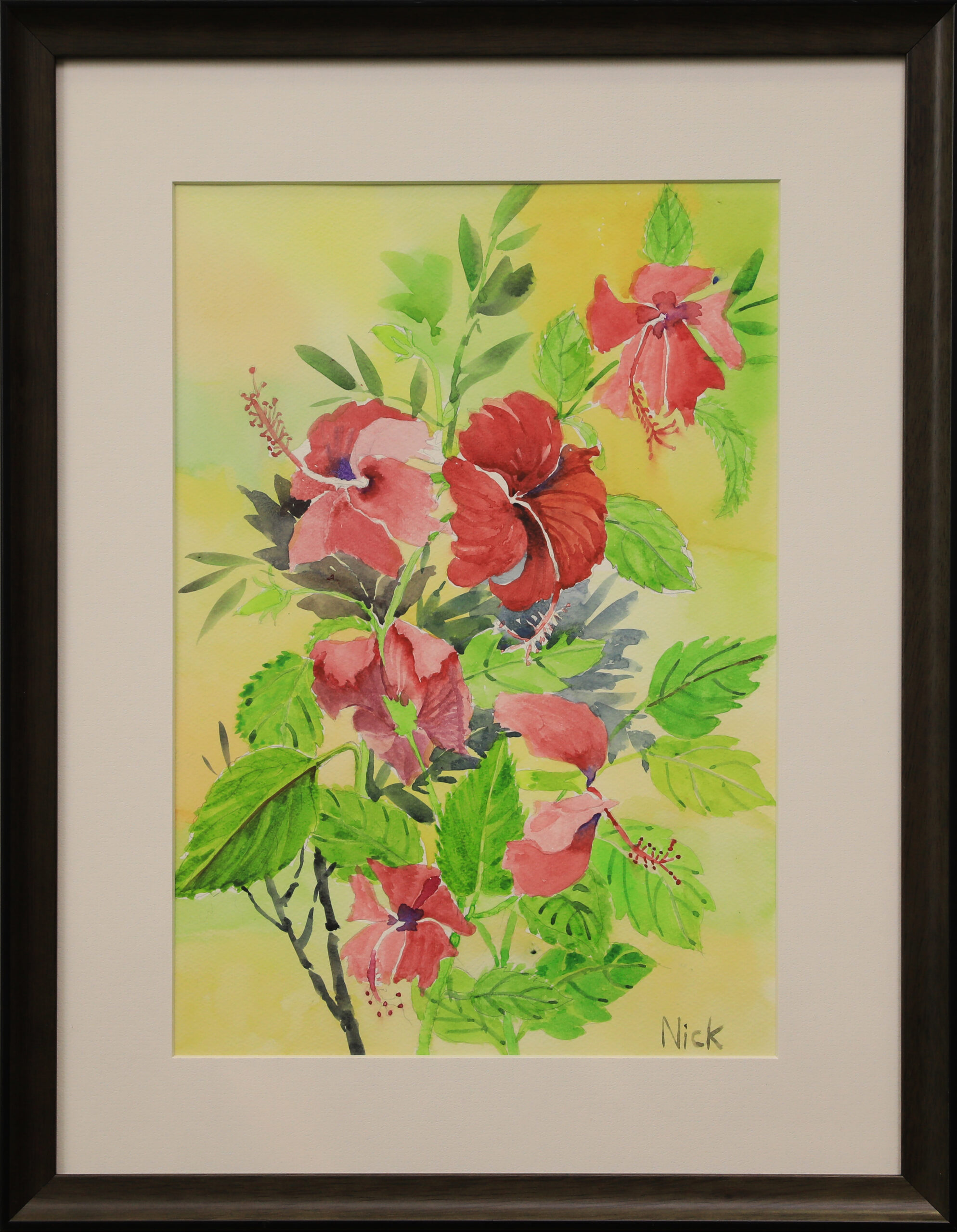 Hibiscus