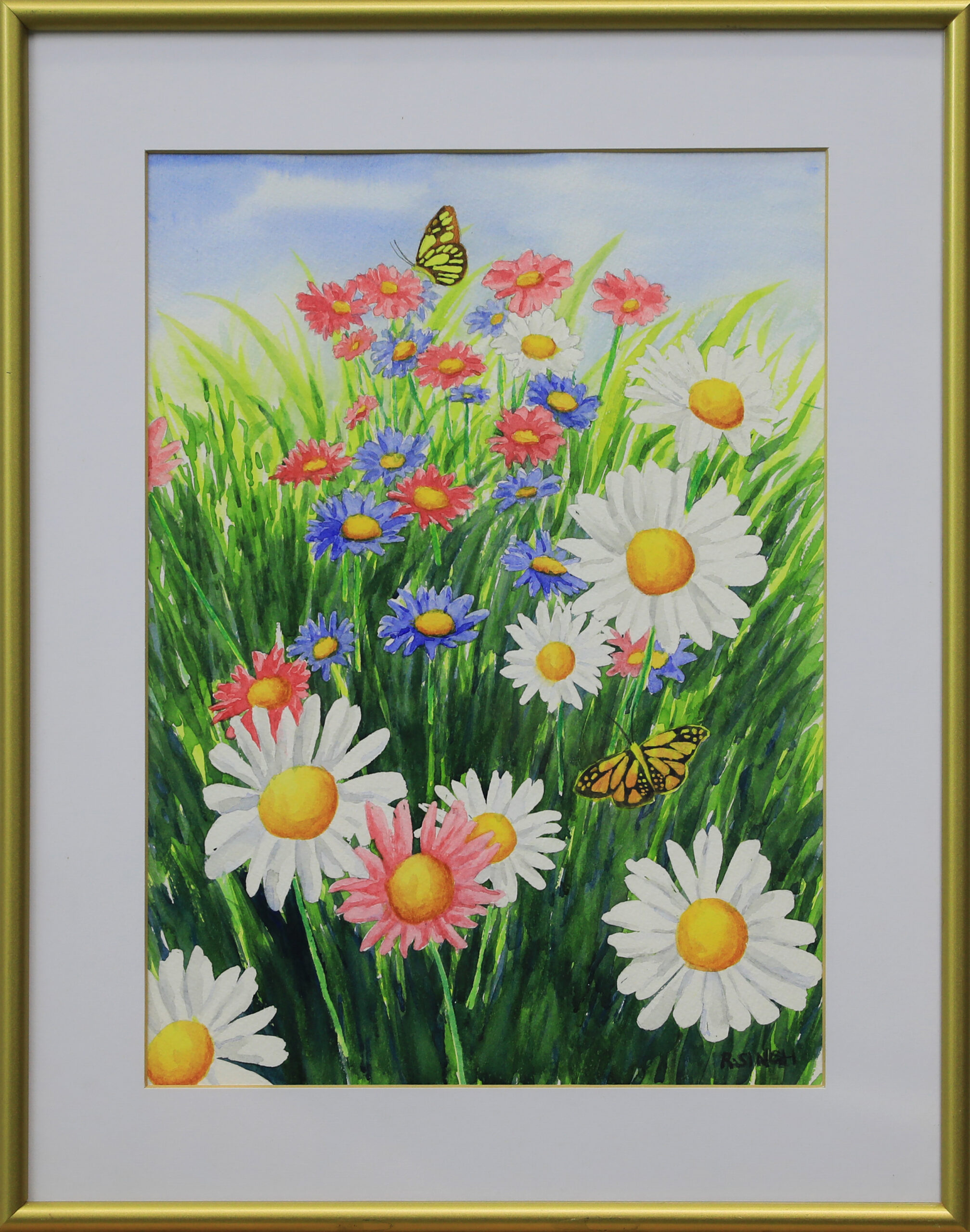 Lovely Daisies