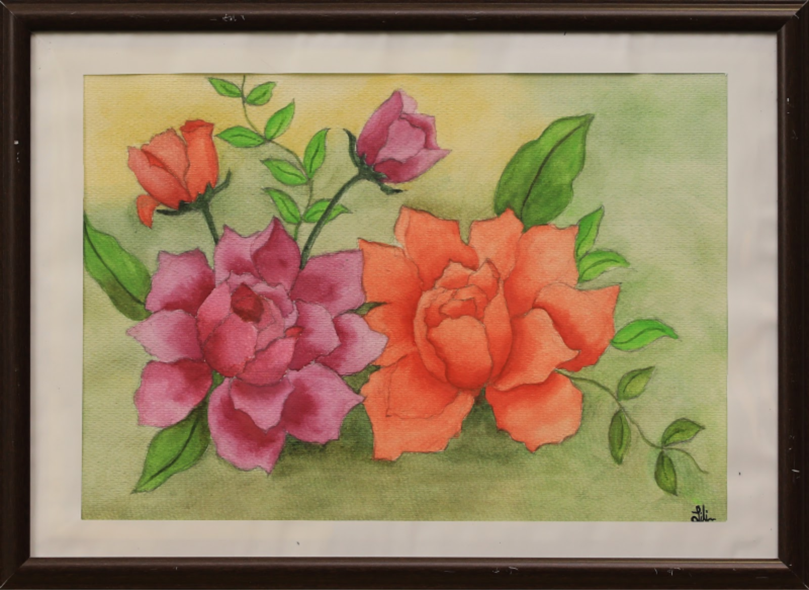 Flowers Blooms