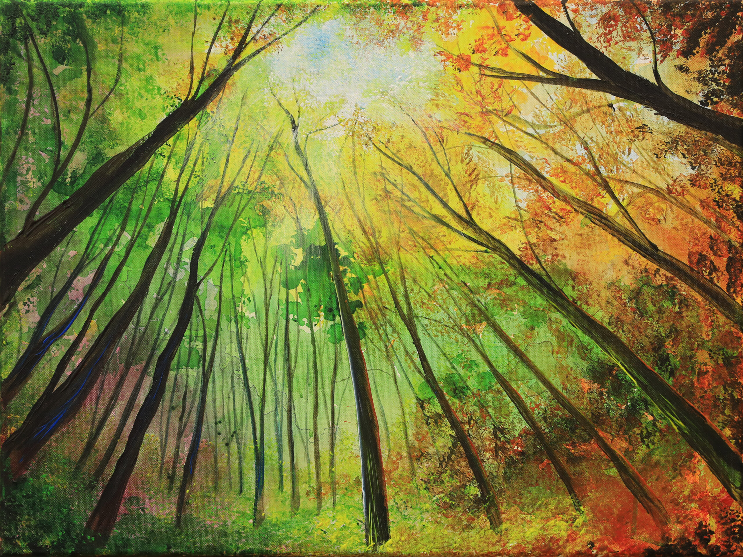 Prosper in the Colourful Nature