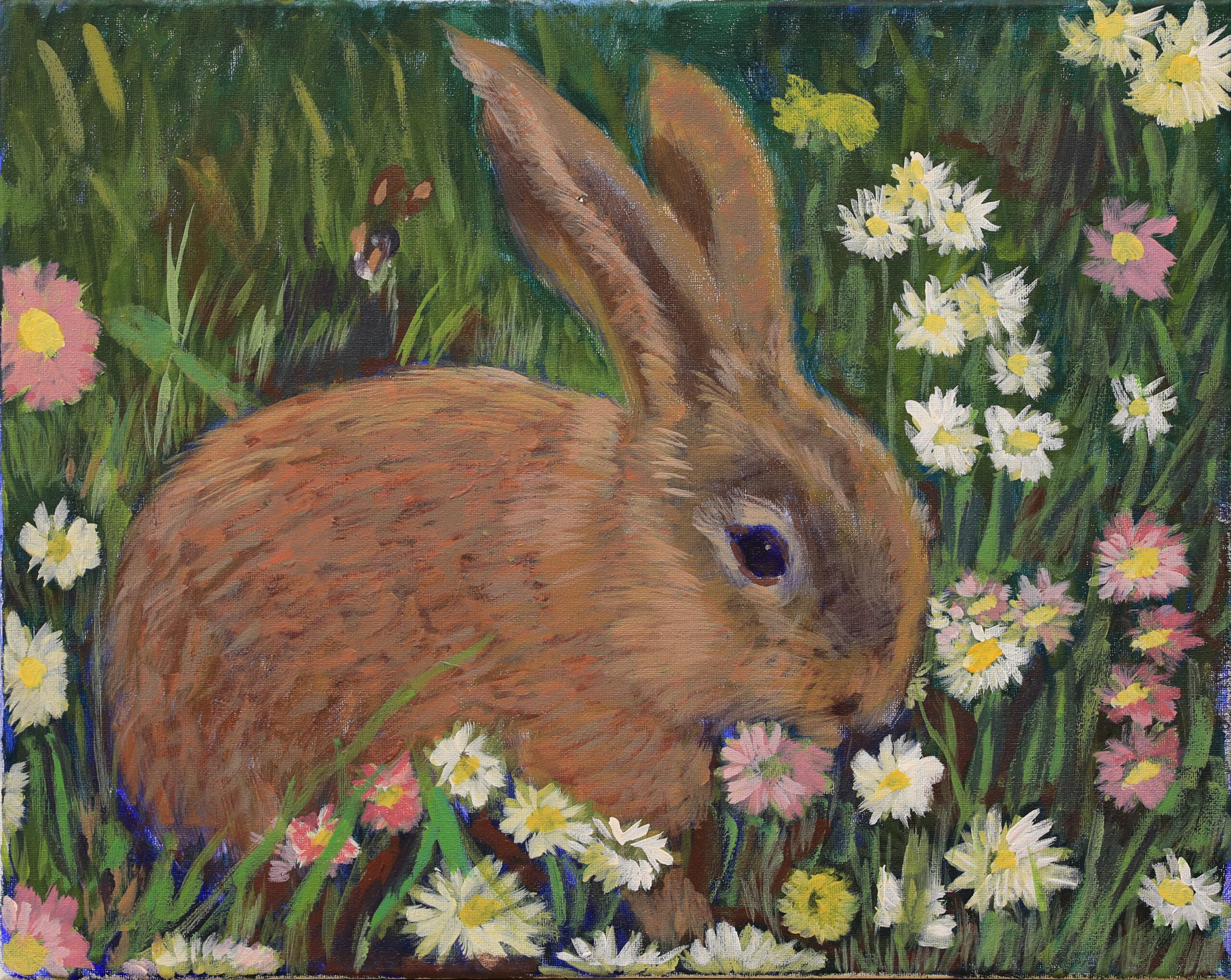 Rabbit