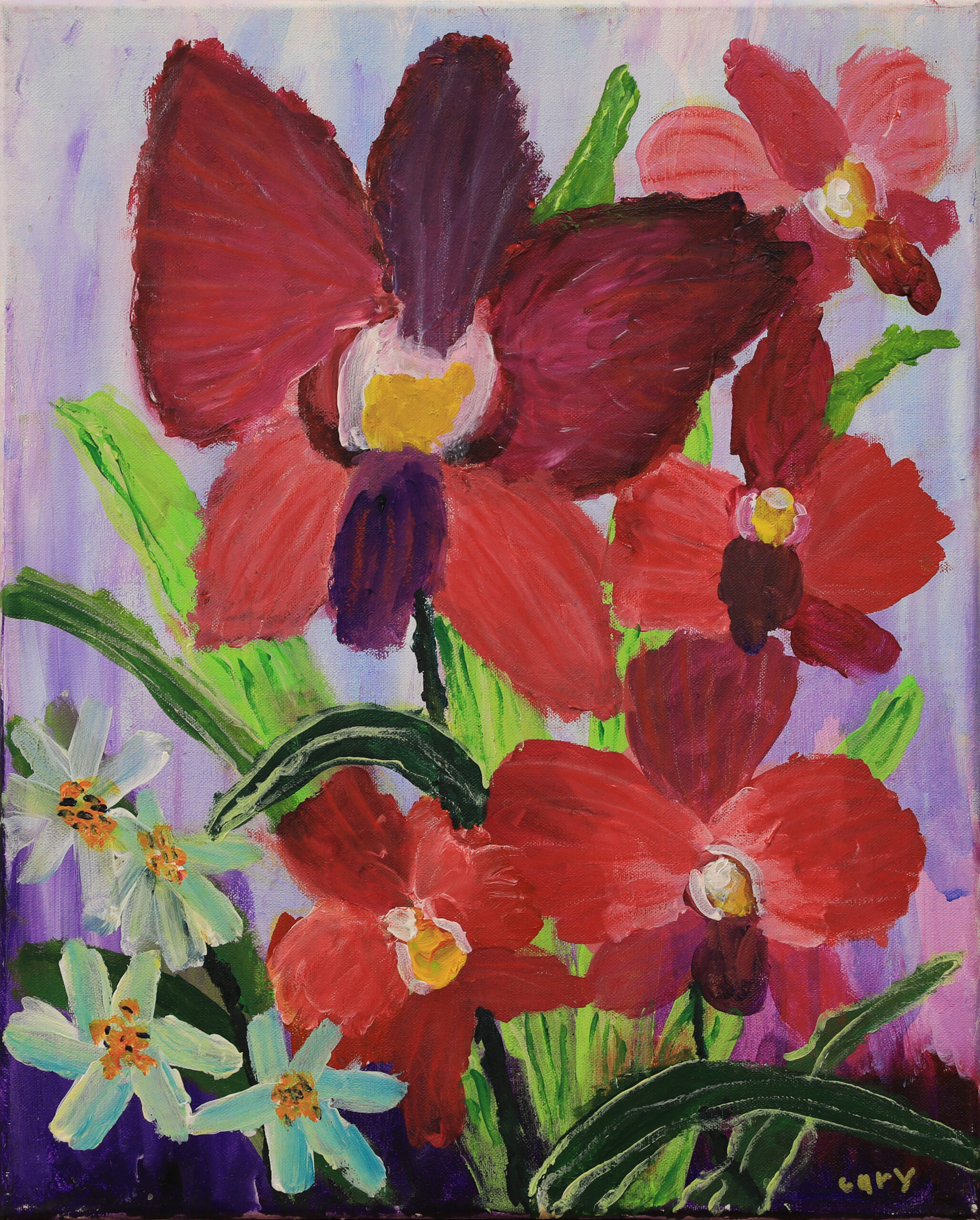 Red and Pink Orchids