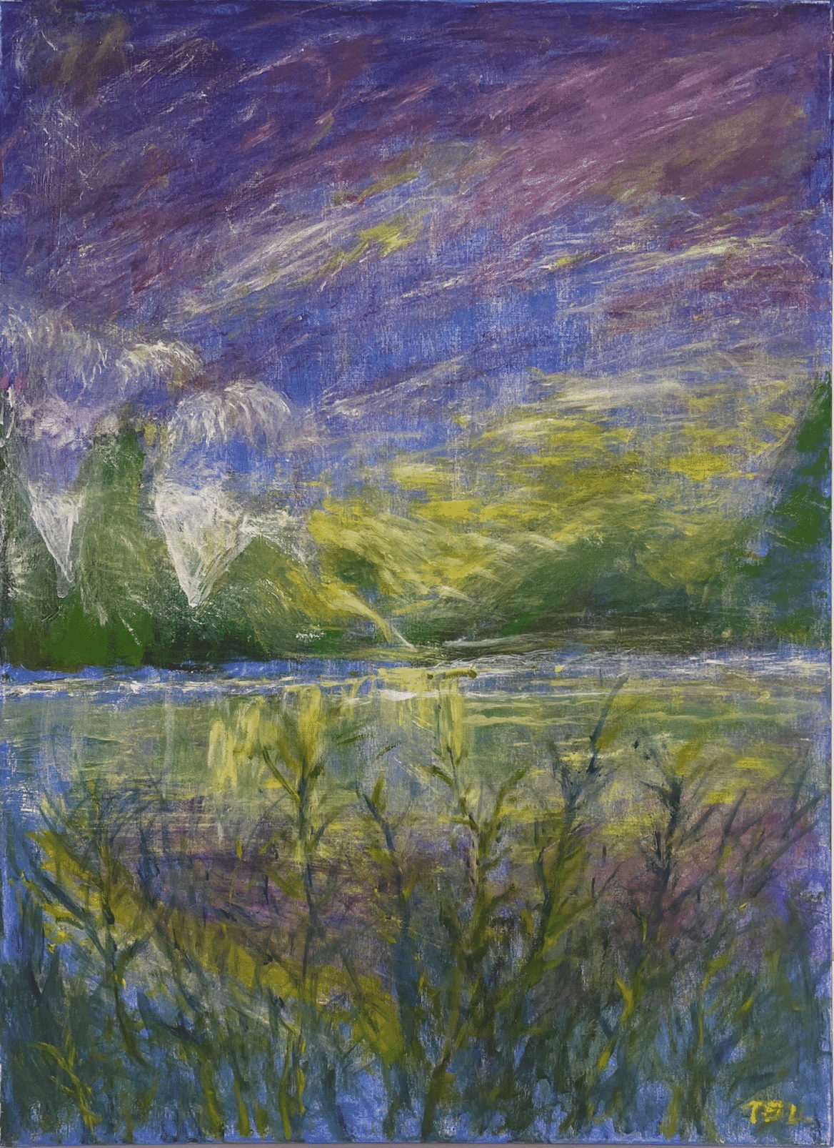 Beautiful and serene nature (美丽宁静的大自然)