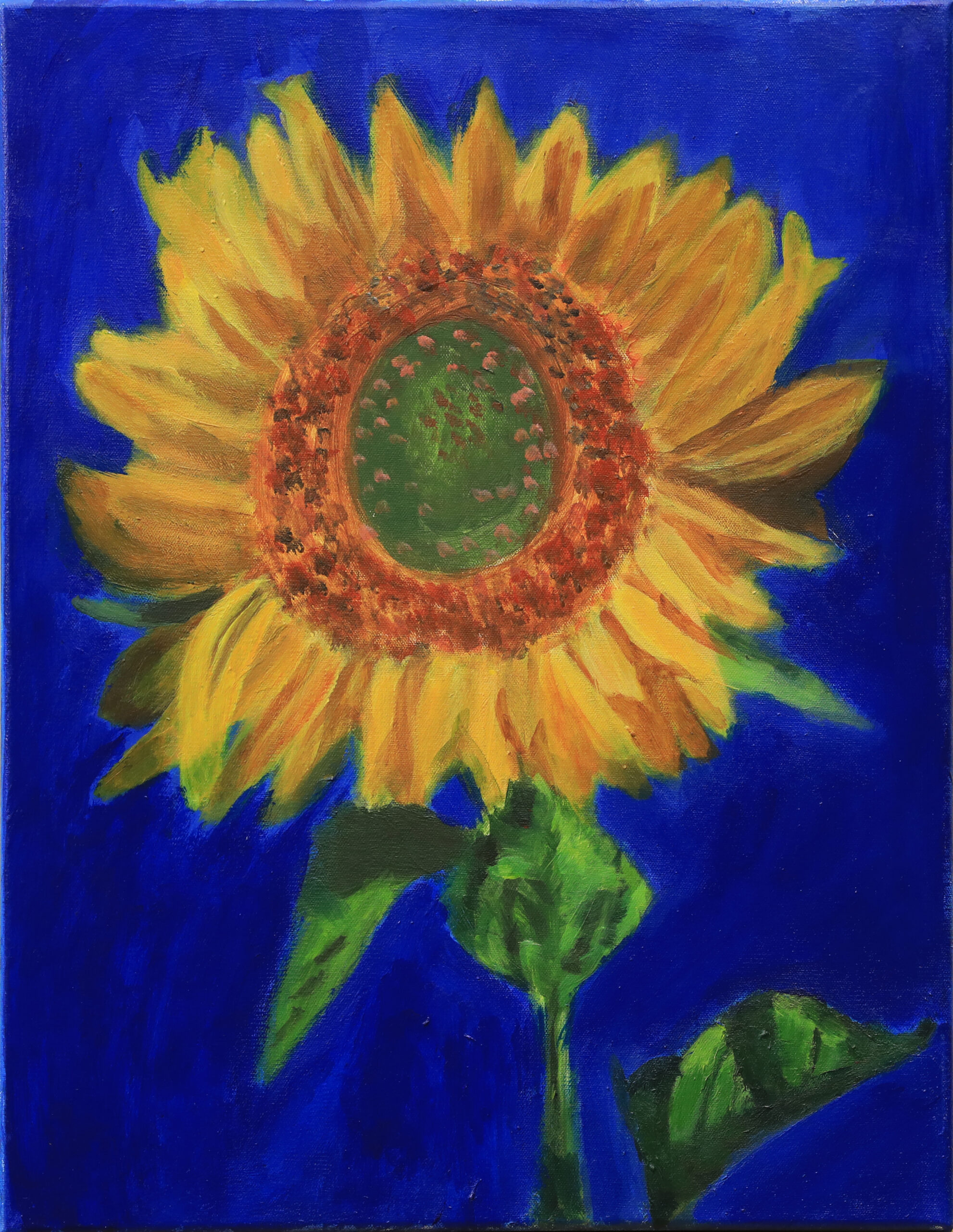 Sunflower
