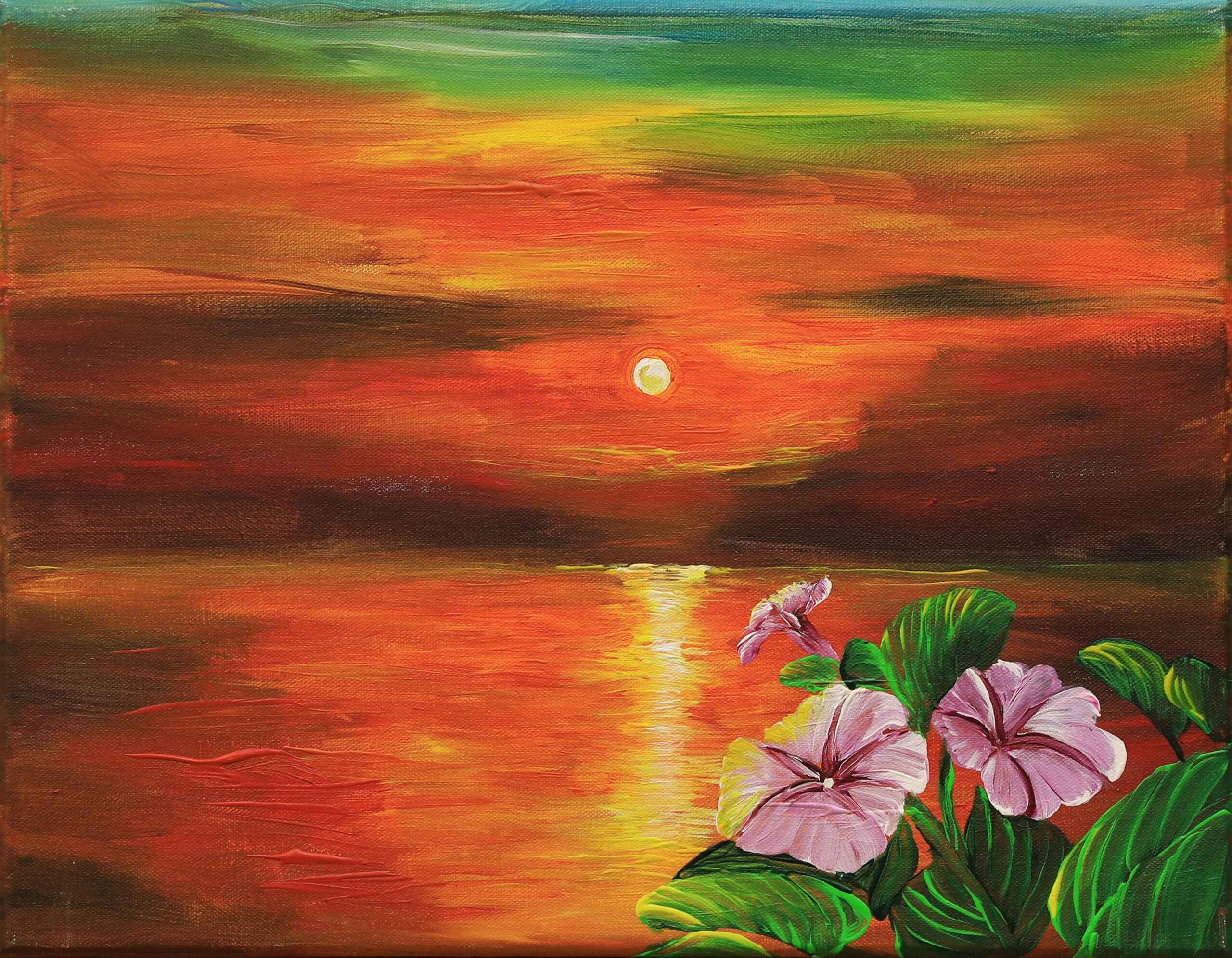 Sunrise Elegance: Morning Glory in Full Bloom
