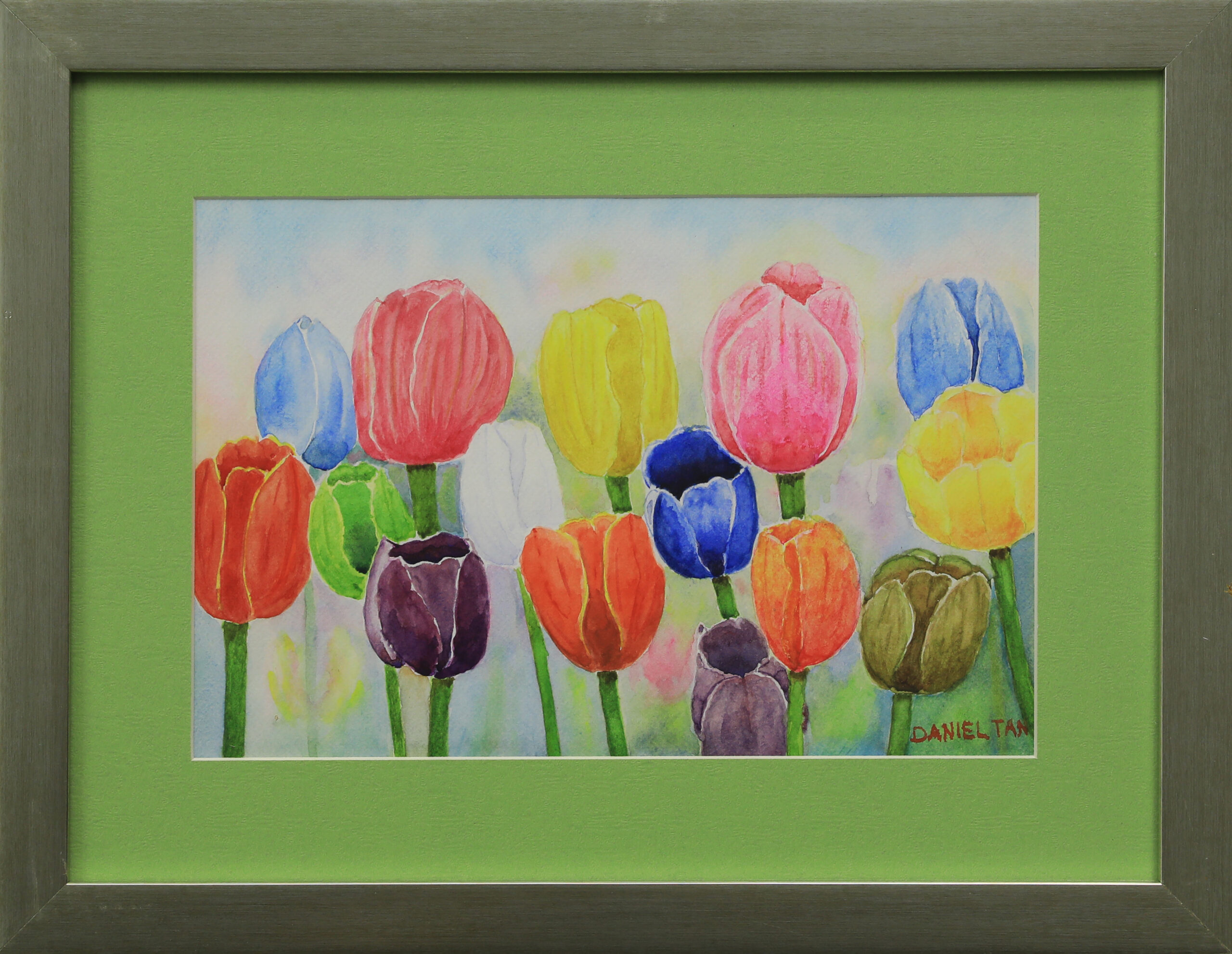 Tulips