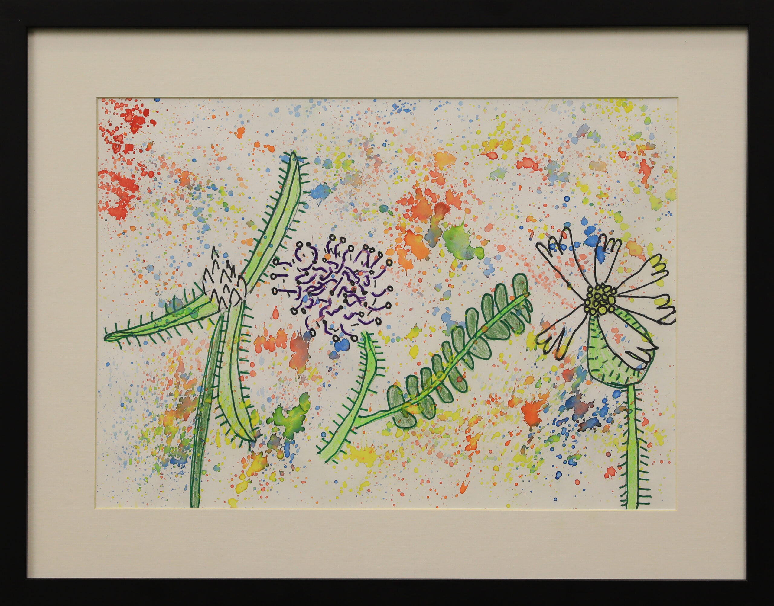 Wild Flowers & Grass